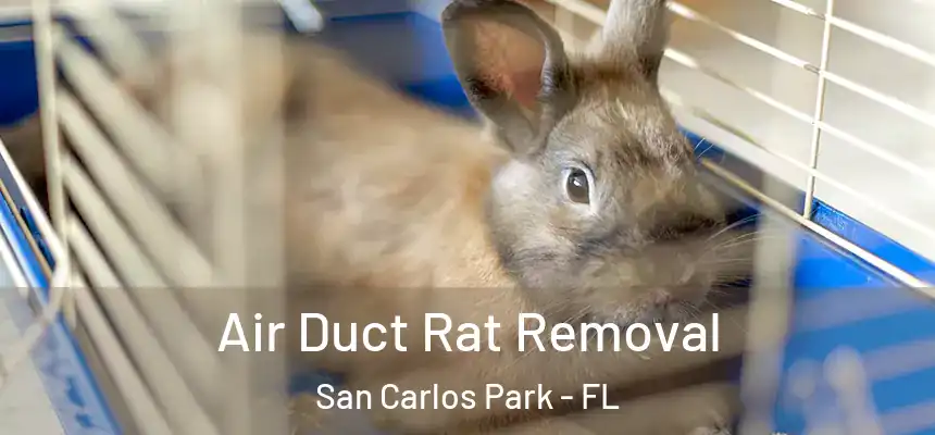  Air Duct Rat Removal San Carlos Park - FL