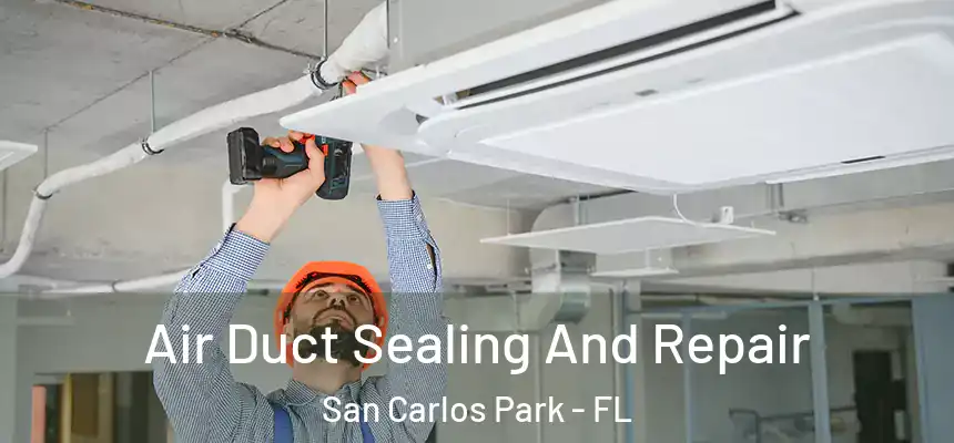  Air Duct Sealing And Repair San Carlos Park - FL