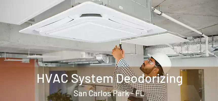  HVAC System Deodorizing San Carlos Park - FL