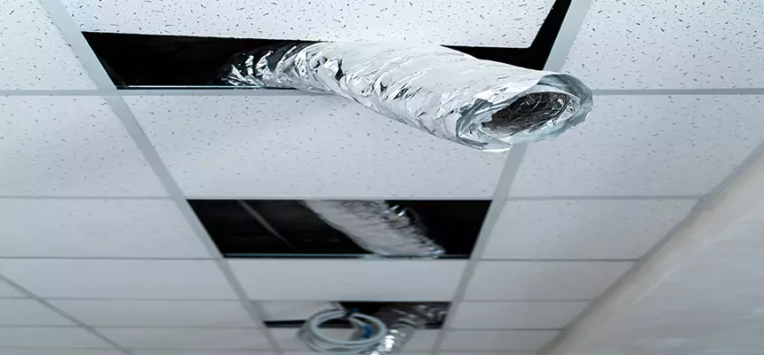 Affordable HVAC Sanitizing After Pest Removal in San Carlos Park