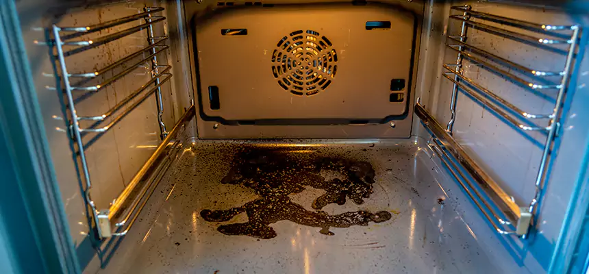 Our Dryer Vent Mold Cleaning Services in San Carlos Park, FL