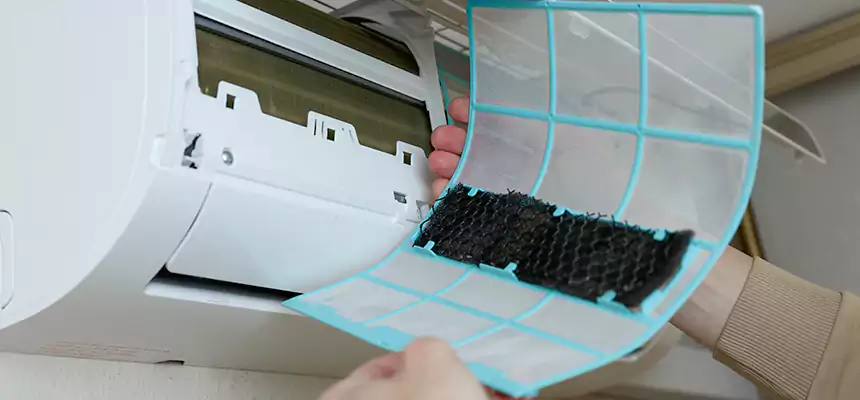 Gentle Ductwork Odor-Control Pet Dander Duct Cleaning in San Carlos Park, FL