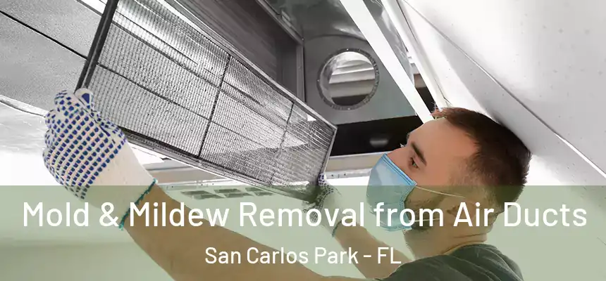 Mold & Mildew Removal from Air Ducts San Carlos Park - FL