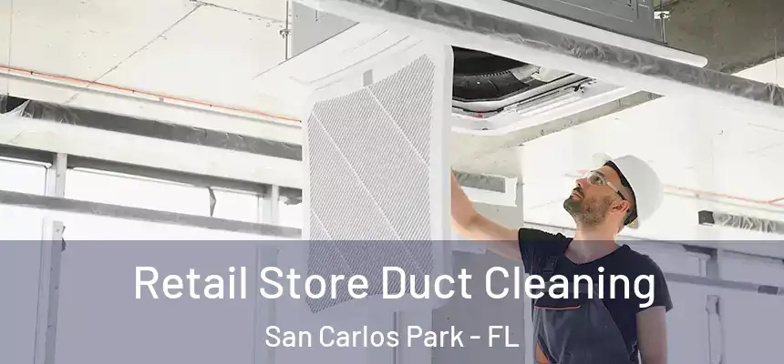 Retail Store Duct Cleaning San Carlos Park - FL