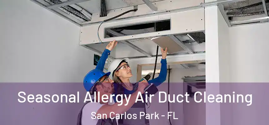  Seasonal Allergy Air Duct Cleaning San Carlos Park - FL