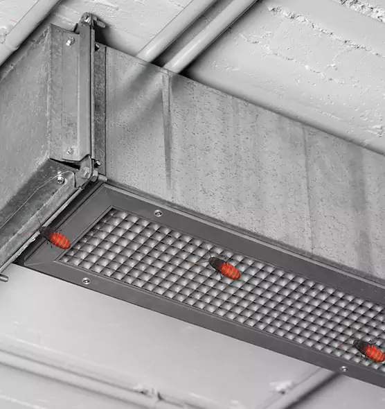 About Air Duct Cockroach Removal in San Carlos Park, FL