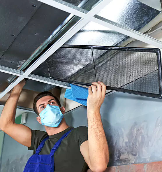 Professional Air Duct Pollen Cleaning in San Carlos Park, FL