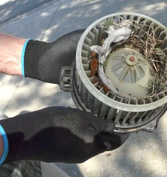 About Air Duct Rat Removal in San Carlos Park, FL