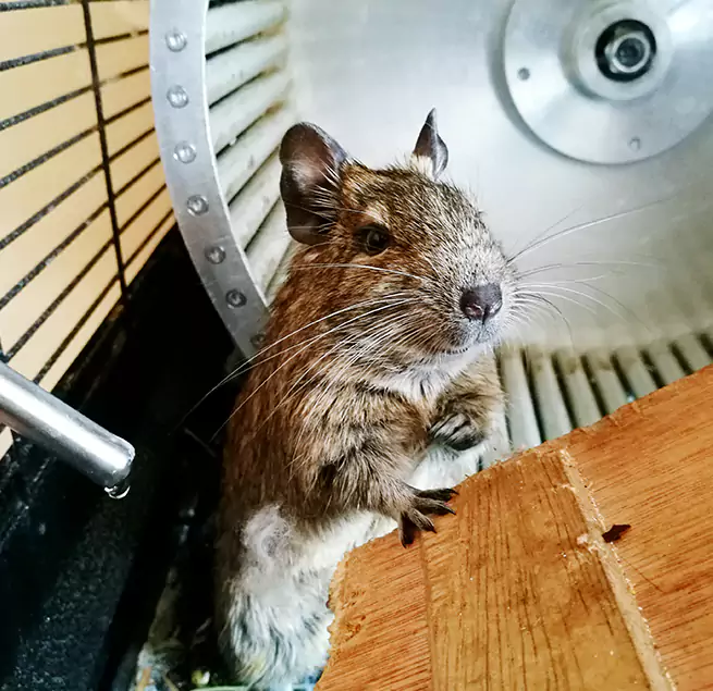 Why Homeowners & Businesses Trust Us San Carlos Park, FL