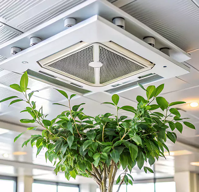 Why Homeowners & Businesses Trust Us in San Carlos Park, FL