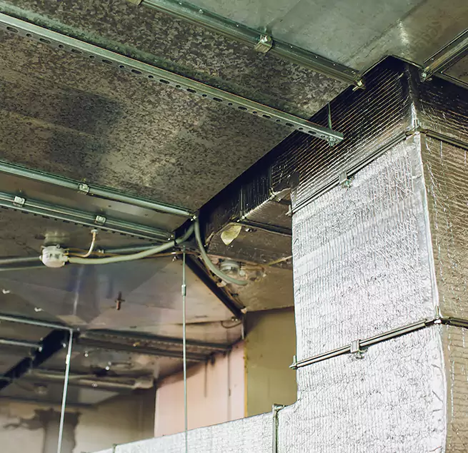 Why Homeowners & Businesses Trust Us in San Carlos Park, FL?