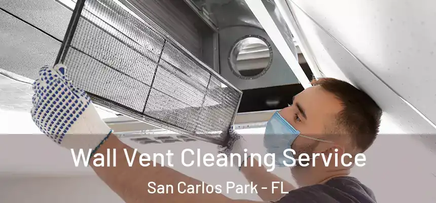 Wall Vent Cleaning Service San Carlos Park - FL